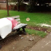 Fly tipping at the end of Buckby